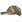 Trespass Καπέλο Carrigan Baseball Cap